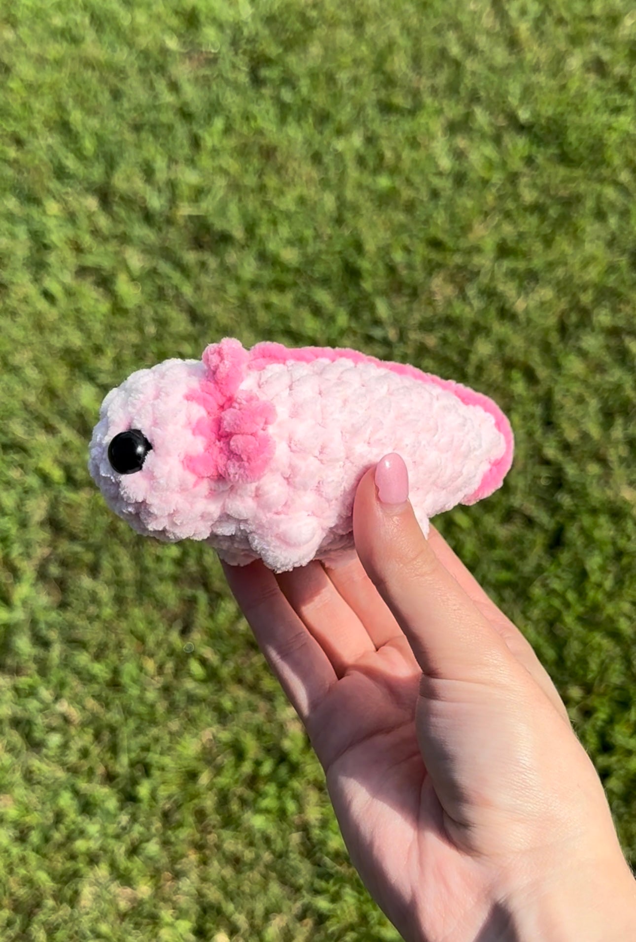 Pink axolotls!